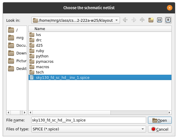 LVS netlist